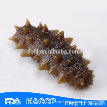 Quality frozen and dried sea cucumber for sale 2015